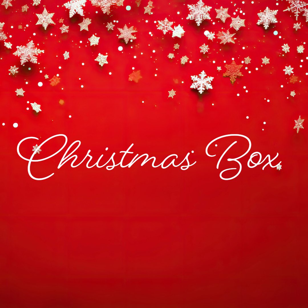 Christmas box silver - 4Nutrition